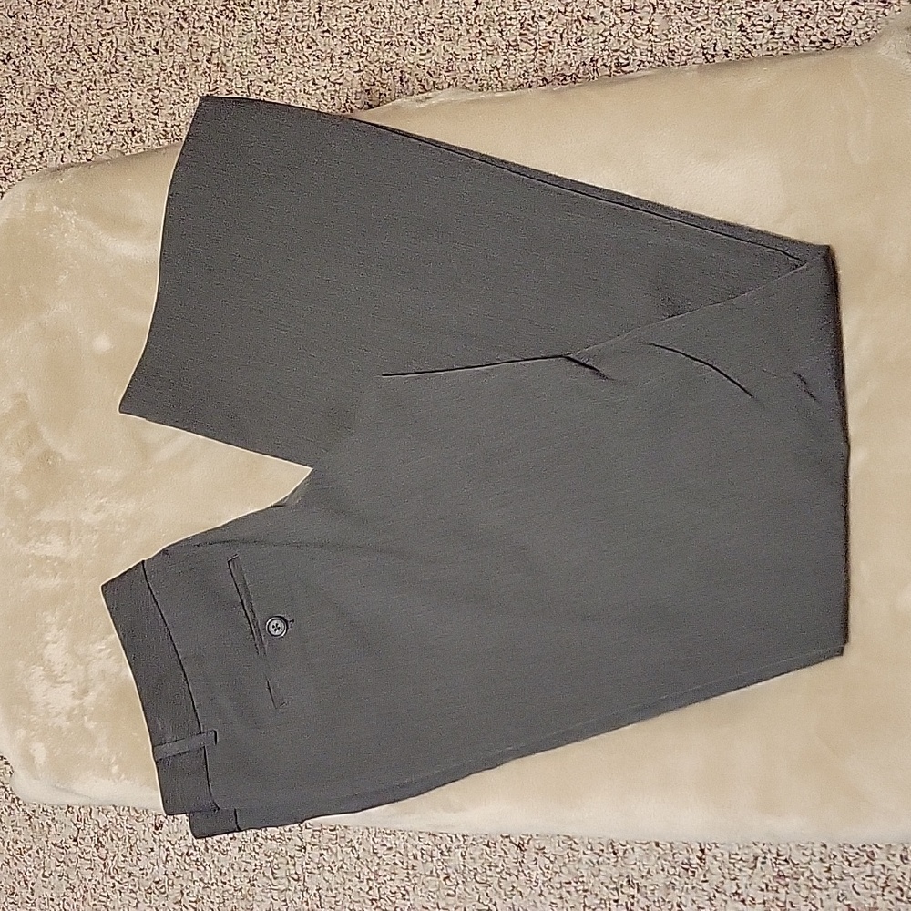 Express Editor Dress Slacks (Womens)
